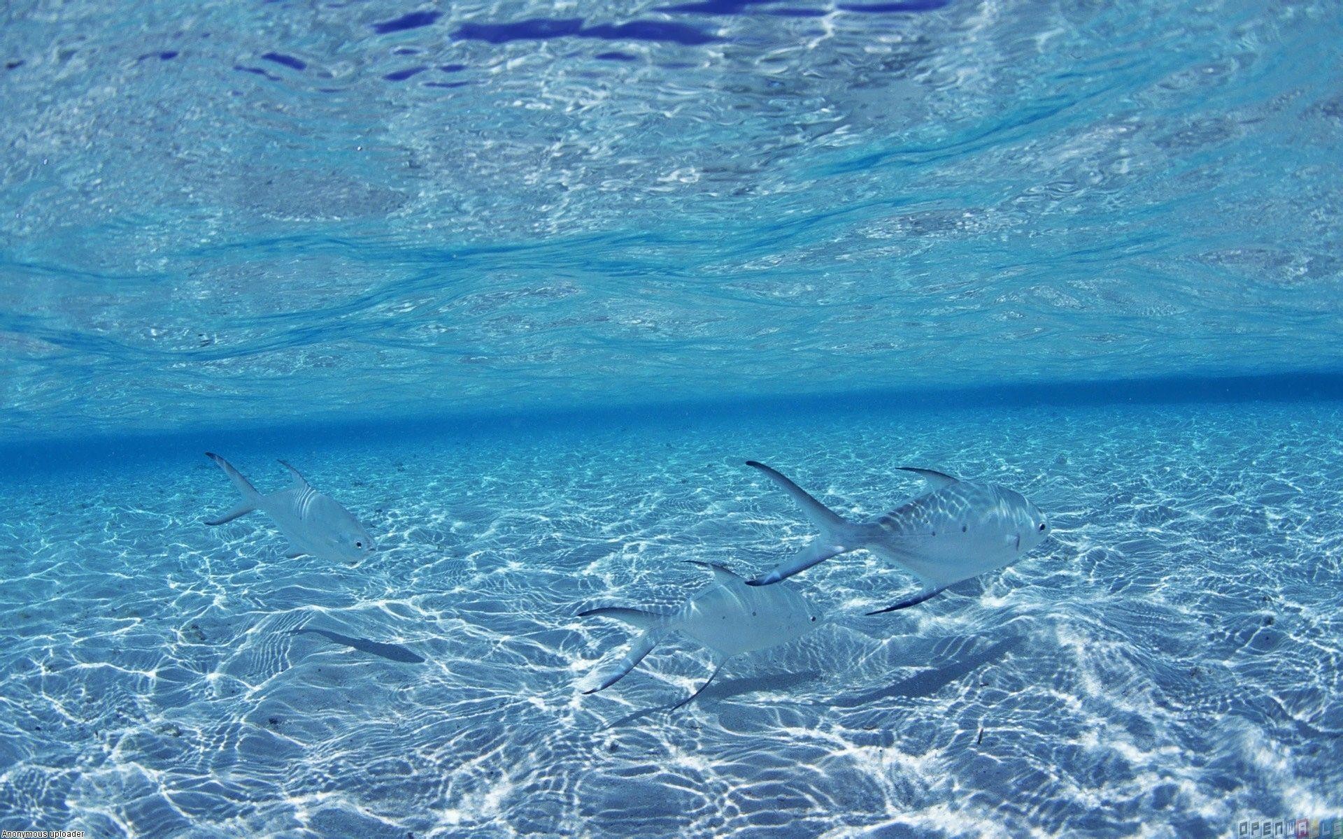 Blue Ocean Wallpaper Download 31068 Hd Pictures - Ocean Computer Backgrounds - HD Wallpaper 