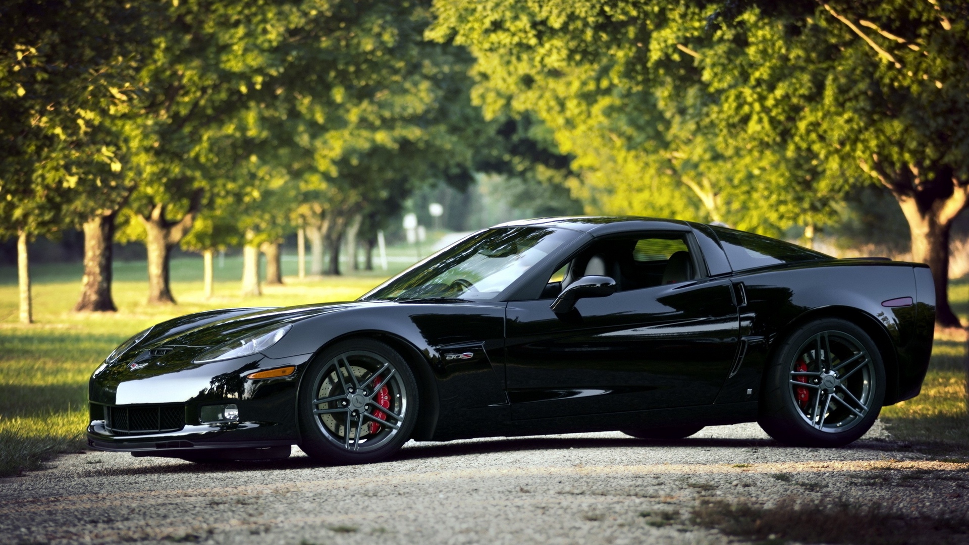 Wallpaper Chevrolet Corvette, Black, Nature, Cars - Car Background Nature 1920x1080 Wallpaper - teahub.io