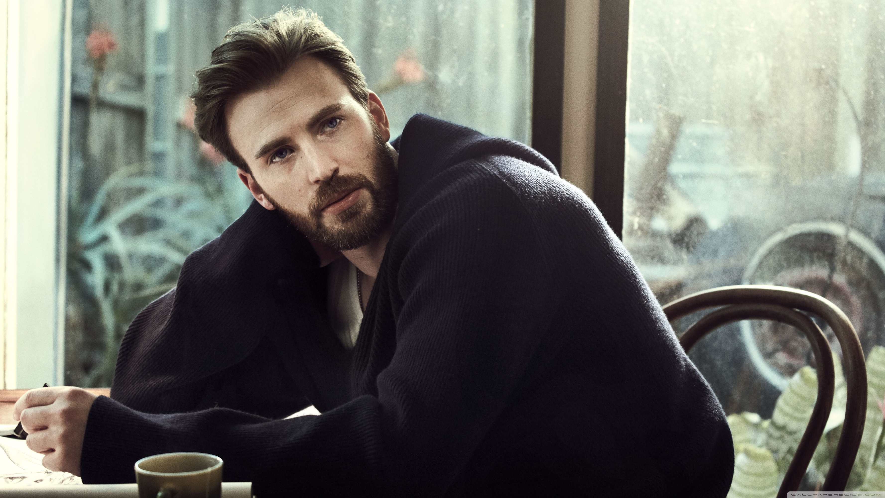 Chris Evans - HD Wallpaper 