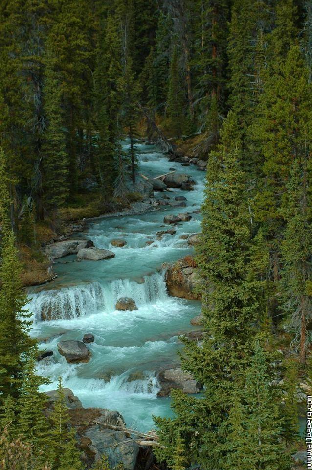 Jasper National Park, Alberta ,wide Wallpapers,ultra - National Natural Wallpaper For Mobile - HD Wallpaper 