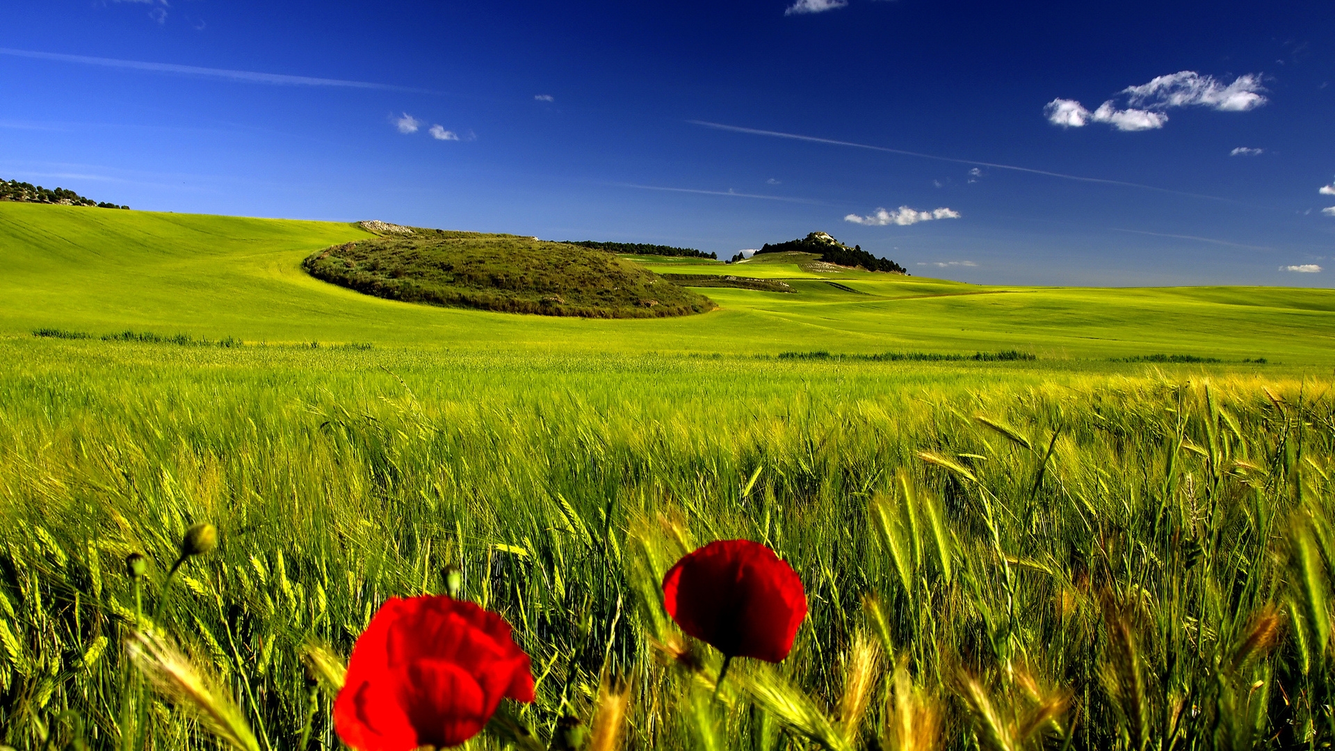 Nature Wallpapers Hd Free Download - Top Hd Nature Wallpaper Download - 1920x1080 Wallpaper Nature Wallpapers Hd Free Download - Top Hd Nature Wallpaper Download - 1920x1080 Wallpaper