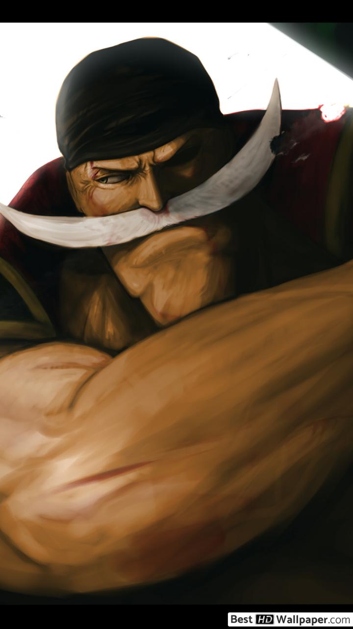 Collection Image Wallpaper White Beard One Piece Wallpaper - One Piece I M Whitebeard - HD Wallpaper 