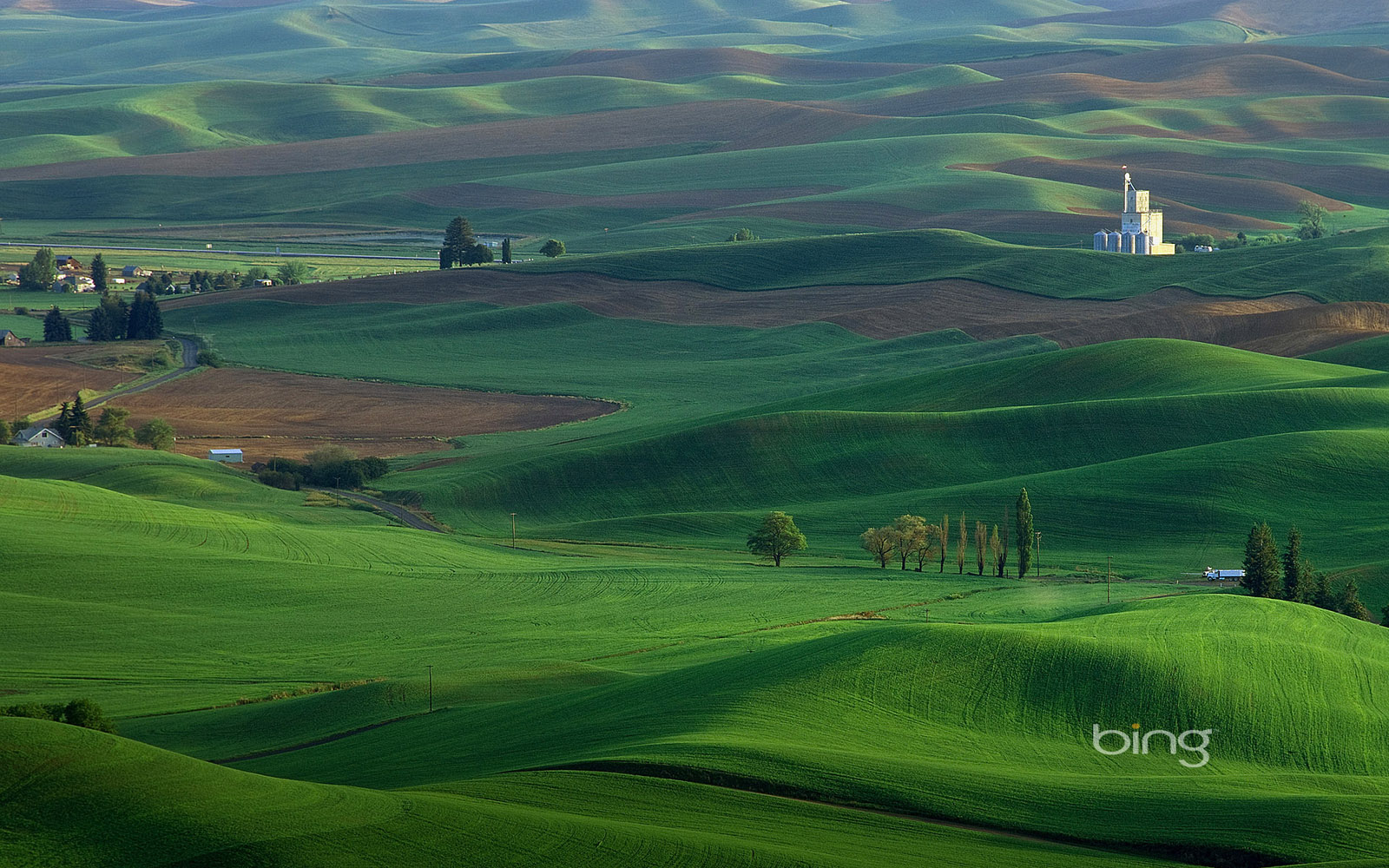 Bing Bing Wallpaper 22553 Desktop Wallpapers System - Bing Wallpaper For Desktop - HD Wallpaper 