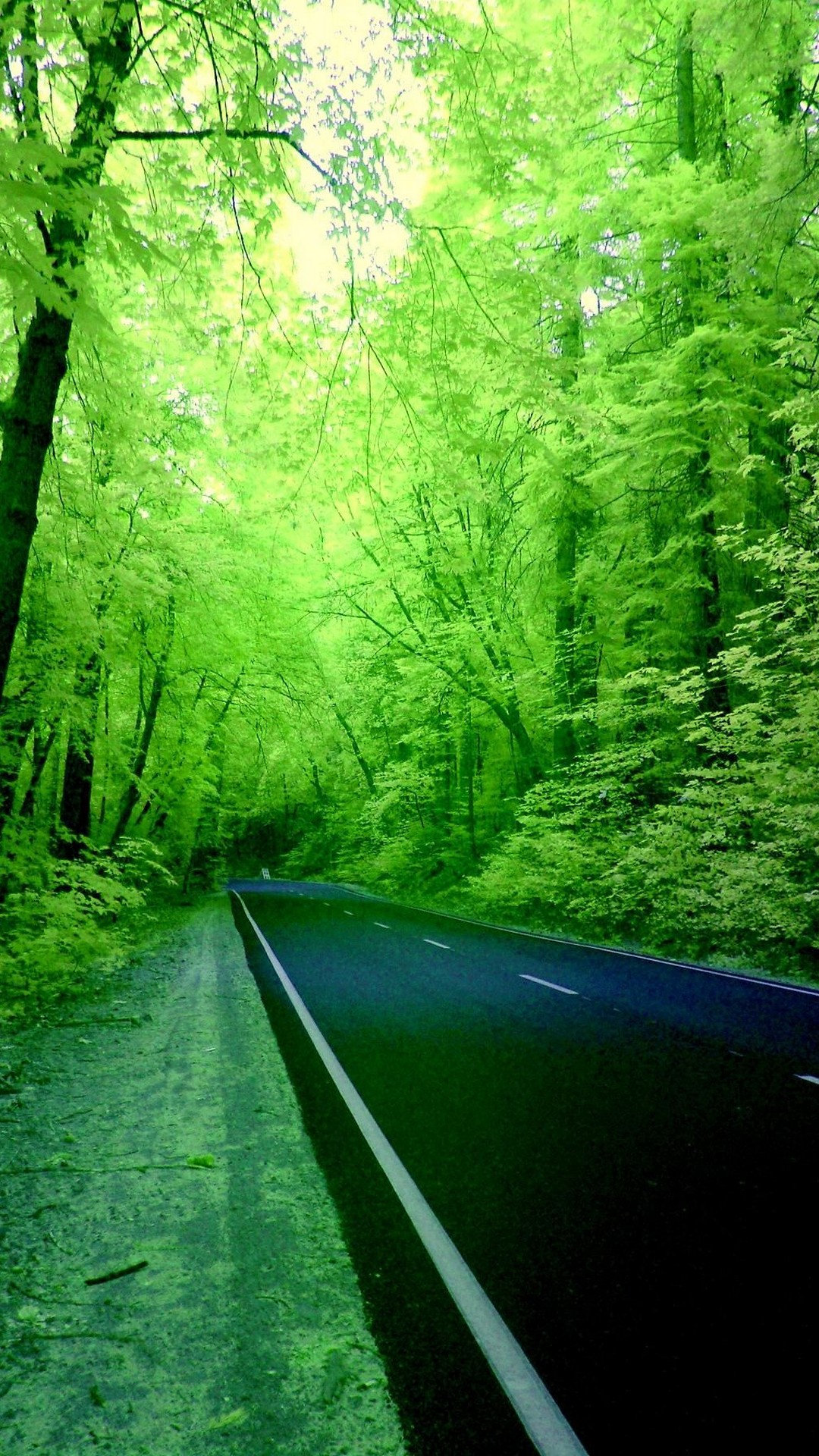 Iphone 7 Wallpaper Nature Green With Image Resolution - Iphone 3d Wallpaper Nature - 1080x1920 Wallpaper Iphone 7 Wallpaper Nature Green With Image Resolution - Iphone 3d Wallpaper Nature - 1080x1920 Wallpaper