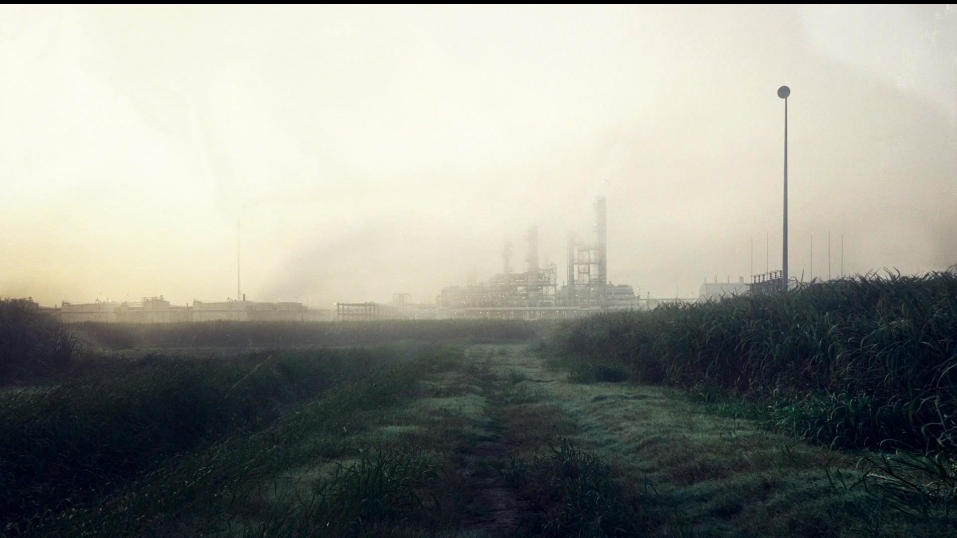 Every Wallpaper Post I Ve Seen Here Hasn T Actually - Field - HD Wallpaper 