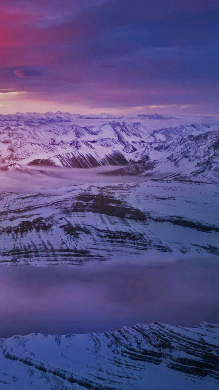 Bing Wallpaper Portrait - HD Wallpaper 