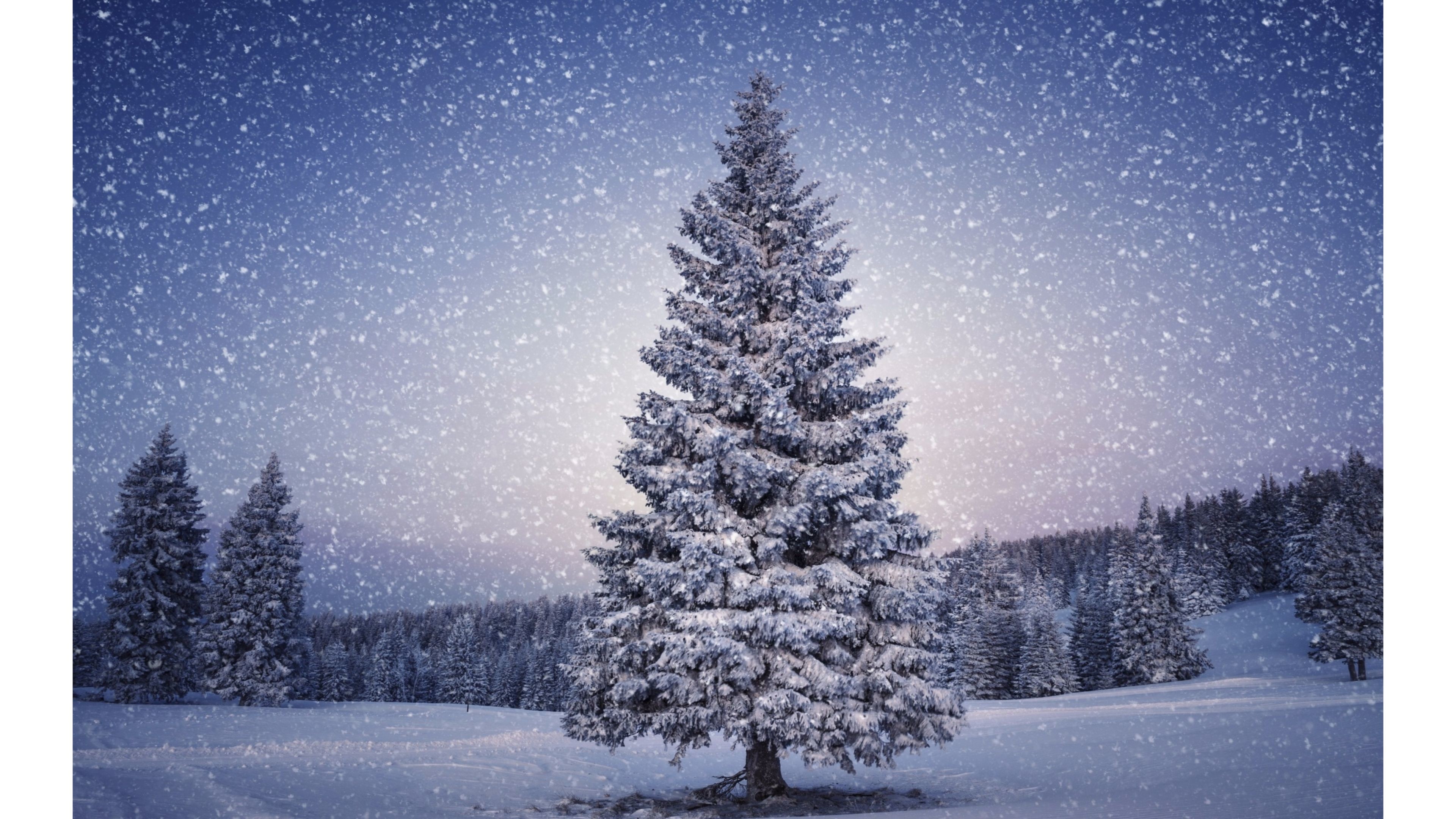 3840x2160, Snowy 2016 Merry Christmas 4k Wallpaper - Weihnachts Wallpaper 4k - HD Wallpaper 
