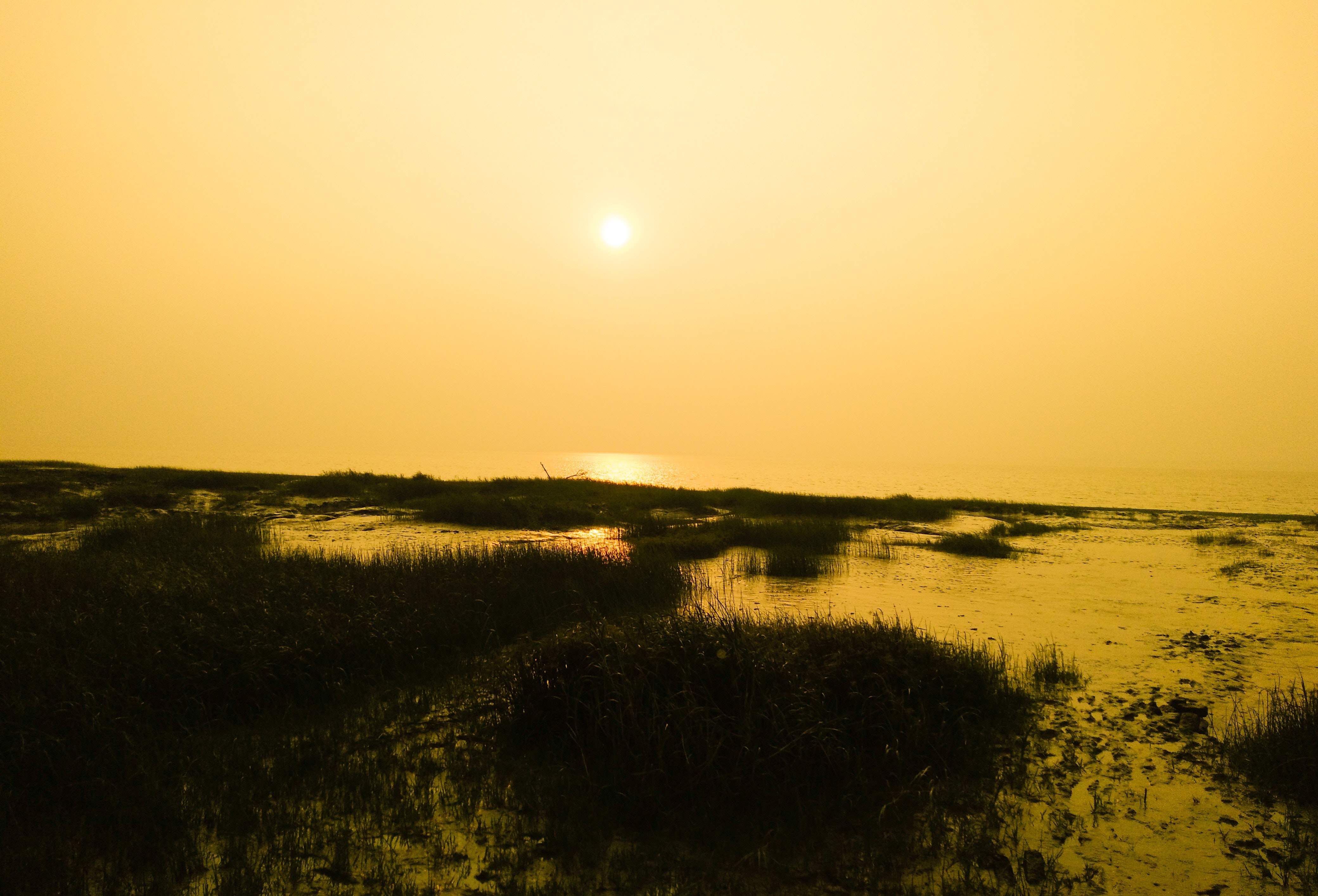 Tidal Marsh - HD Wallpaper 