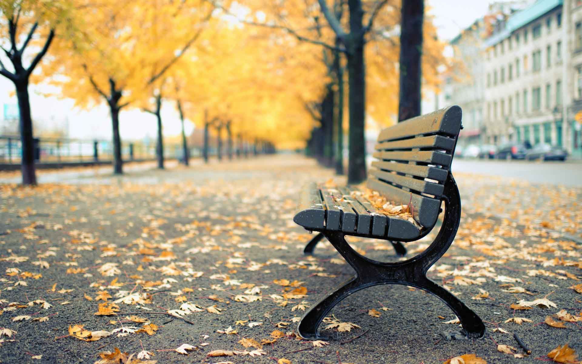 Picsart Bench Background Hd - 1920x1200 Wallpaper 