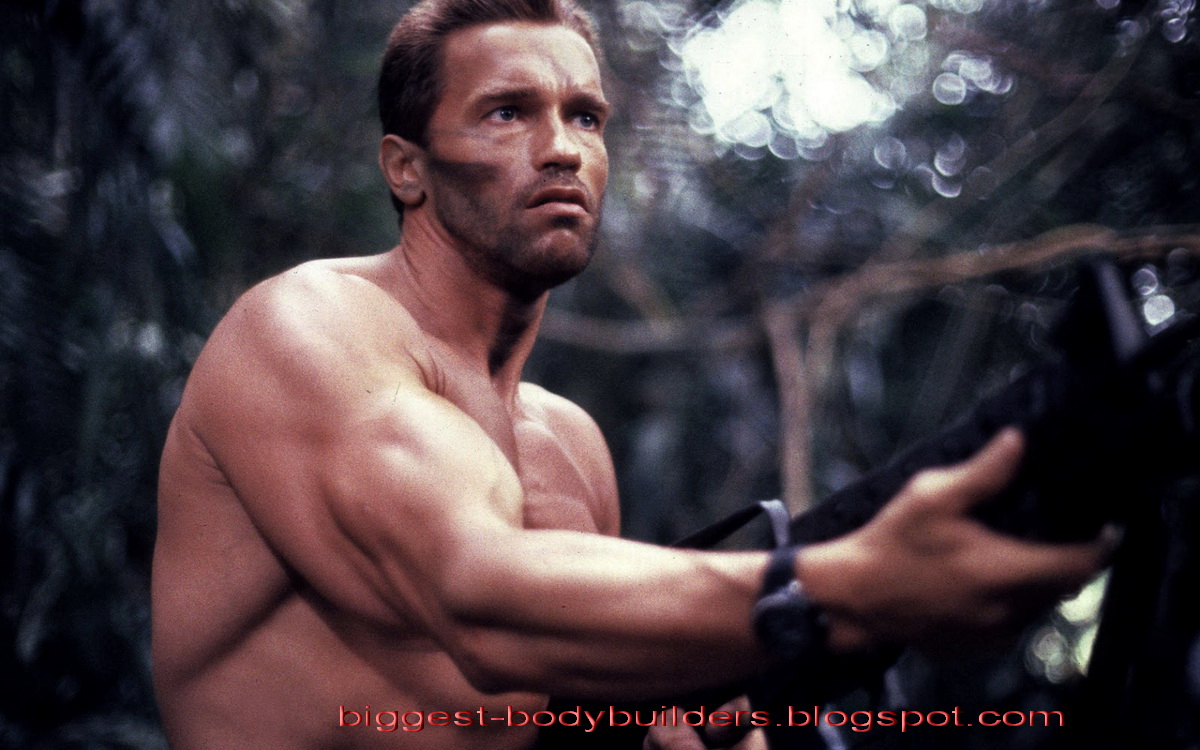 Arnold Schwarzenegger Predator - HD Wallpaper 