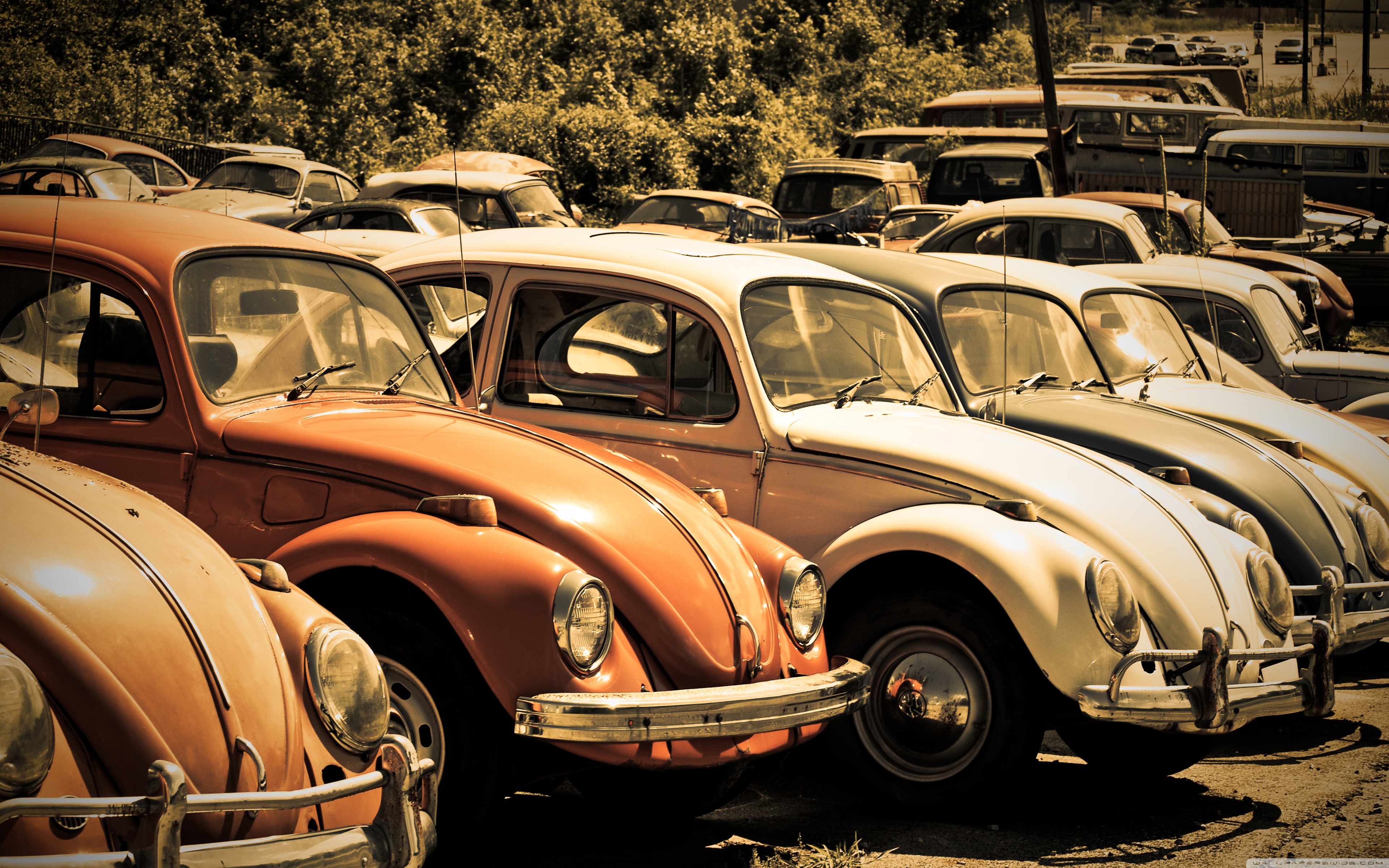 Volkswagen Beetle Wallpapers Px, - 3840x2400 Wallpaper Volkswagen Beetle Wallpapers Px, - 3840x2400 Wallpaper
