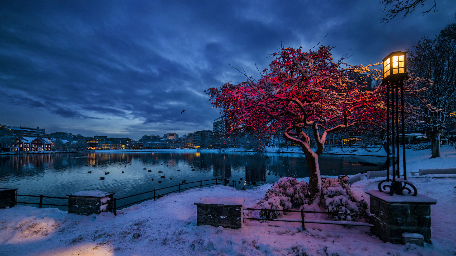 Norway Hd 
 Data Src Norway Wallpapers Picture - Best Scenery Of The World - HD Wallpaper 