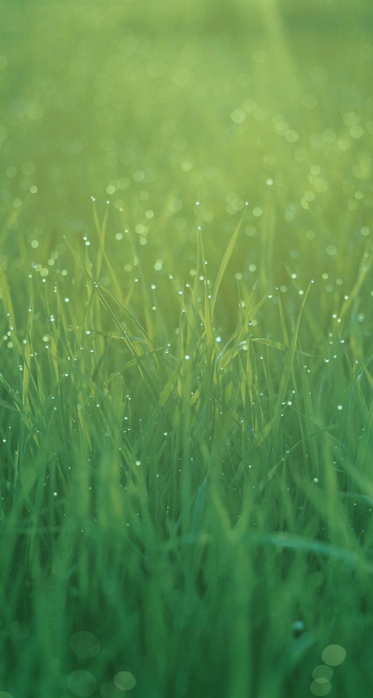 Ios 7 Wallpapers 4k - 744x1392 Wallpaper Ios 7 Wallpapers 4k - 744x1392 Wallpaper