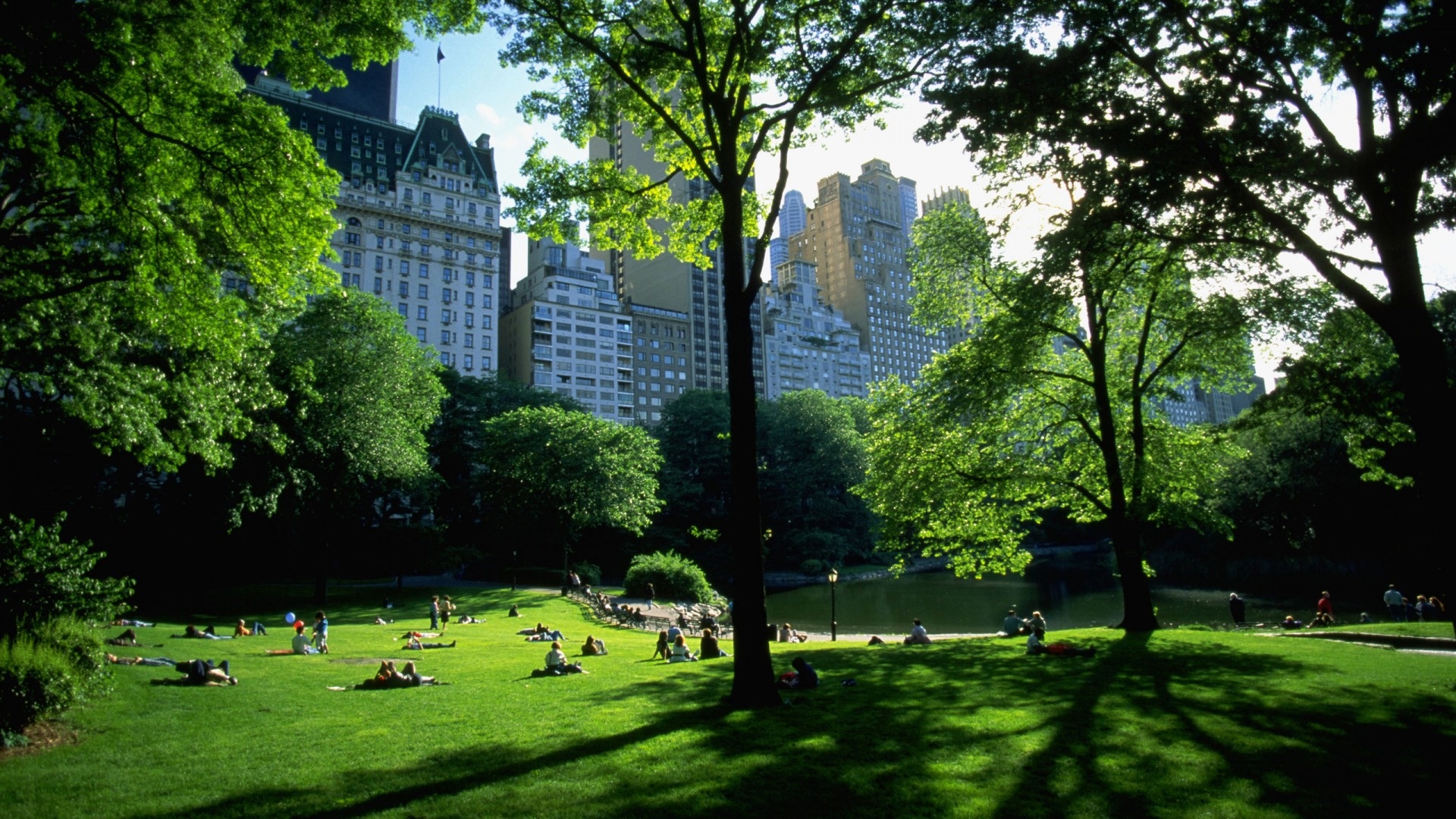 Central Park Wallpaper Hd - HD Wallpaper 