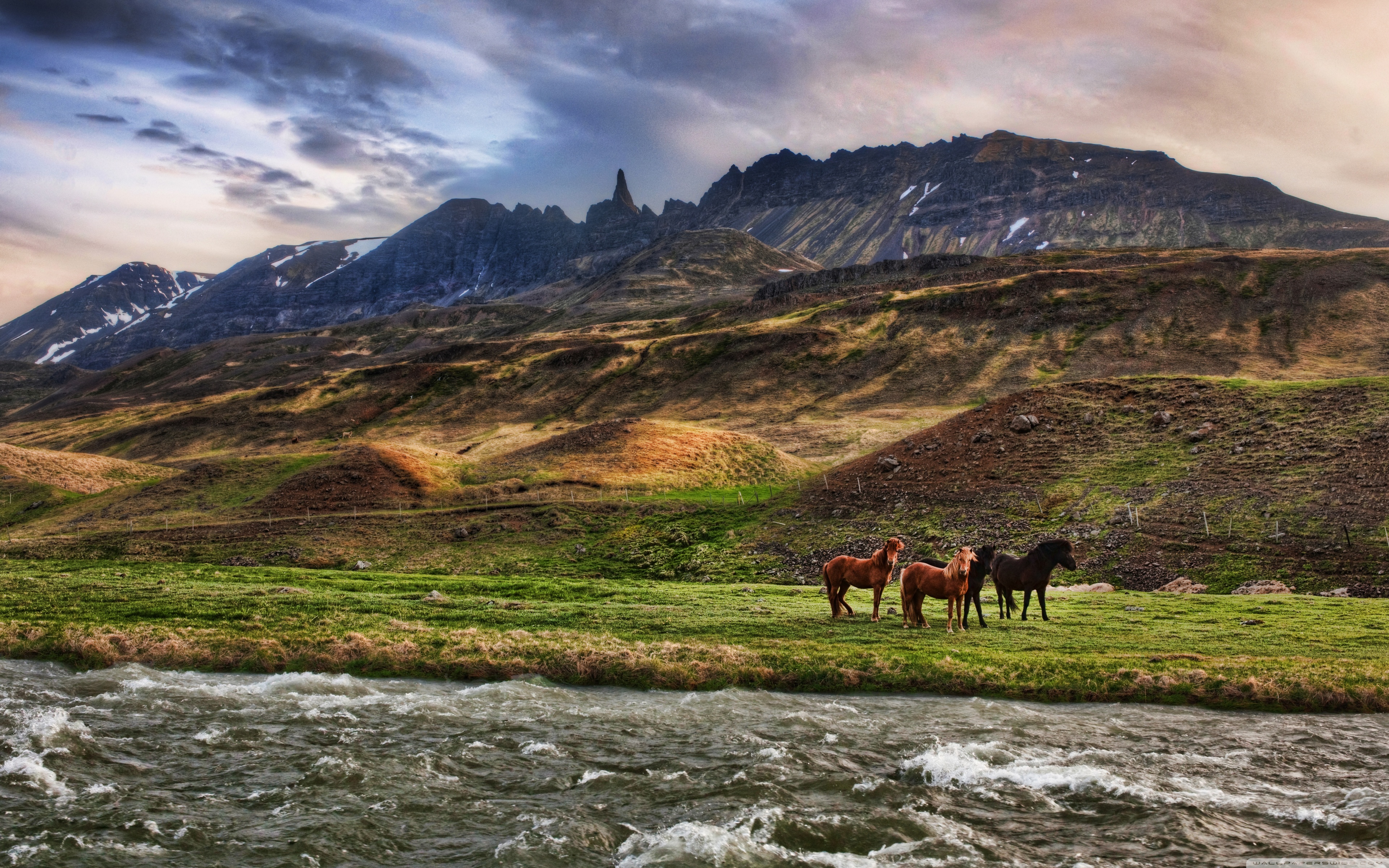 Landscape Wallpaper Horses - HD Wallpaper 
