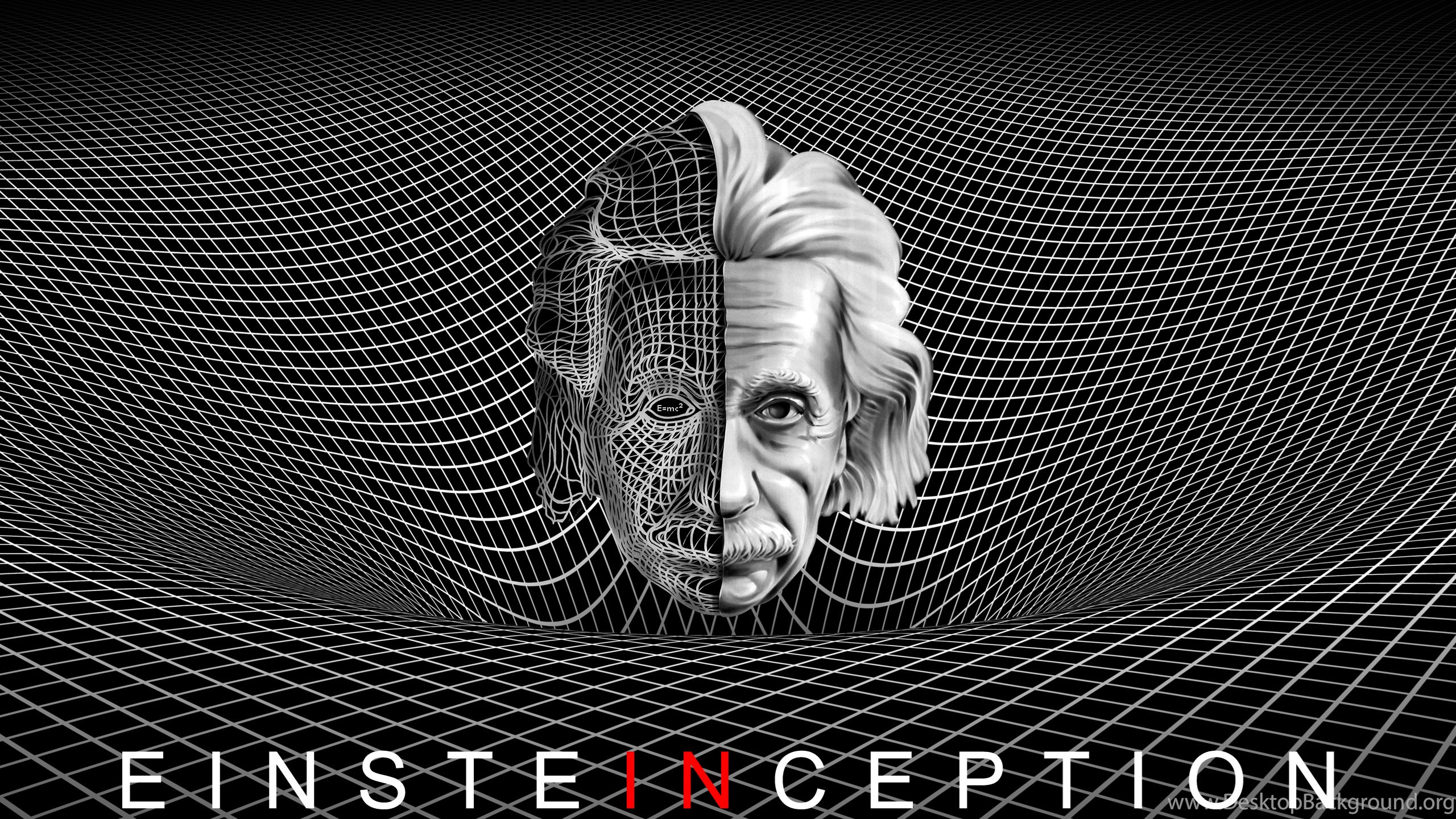 2560x1440, Albert Einstein Wallpapers Iphone Desktop - Ohio State Buckeyes Hd - HD Wallpaper 