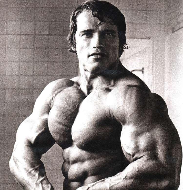Arnold Schwarzenegger Lifting - HD Wallpaper 