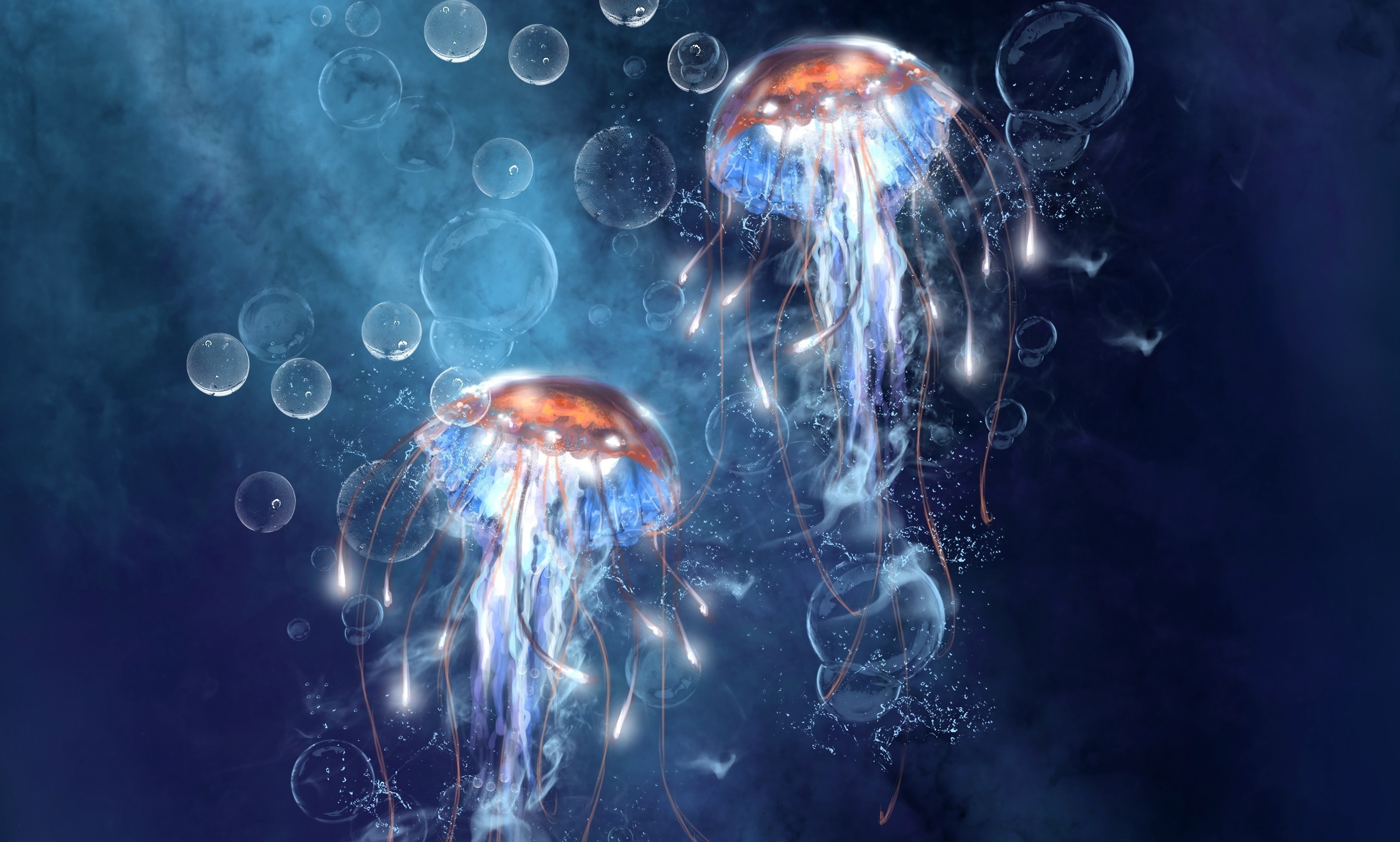 Jellyfish Bubbles - HD Wallpaper 