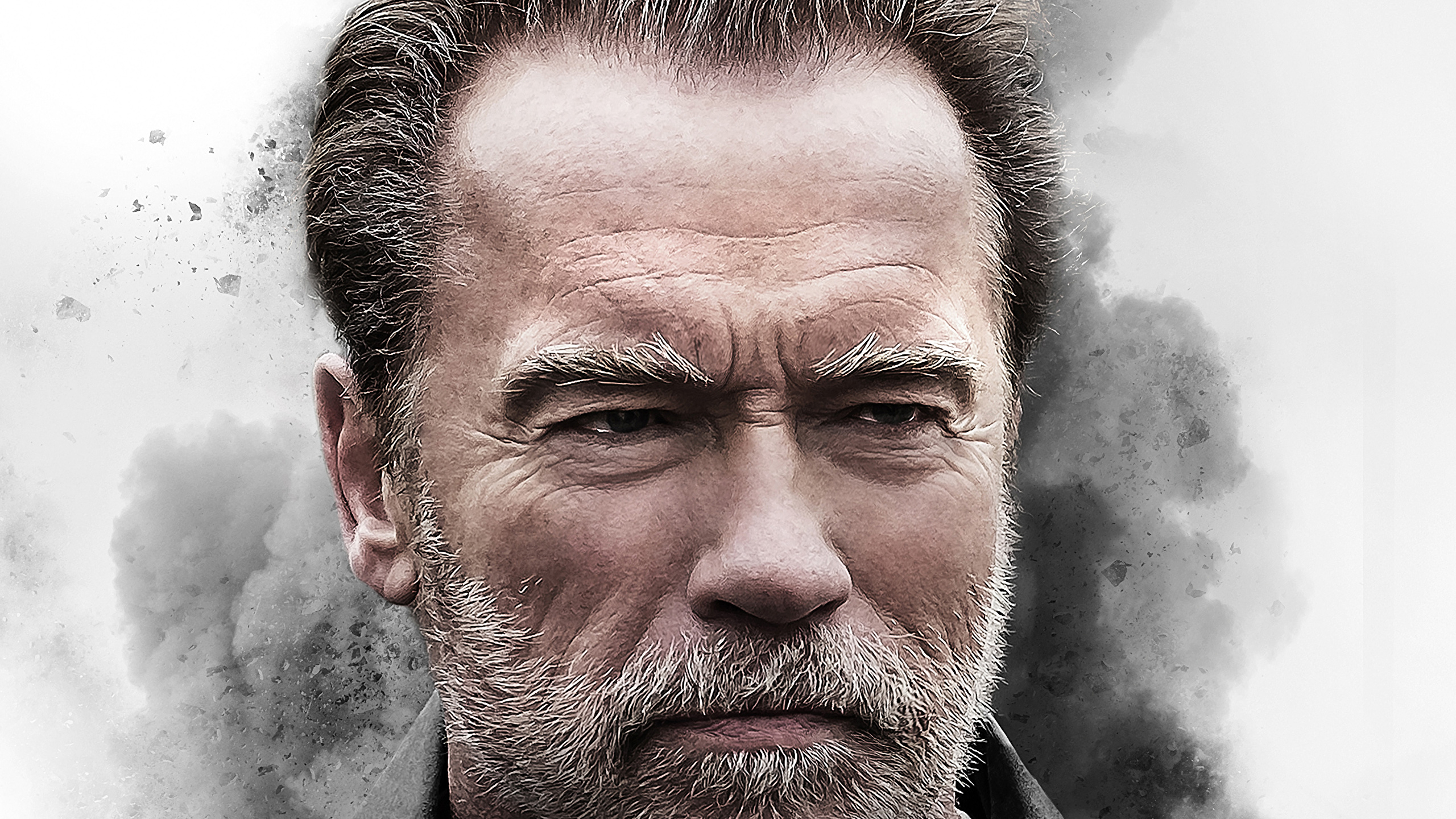 Arnold Schwarzenegger Image Hd - HD Wallpaper 