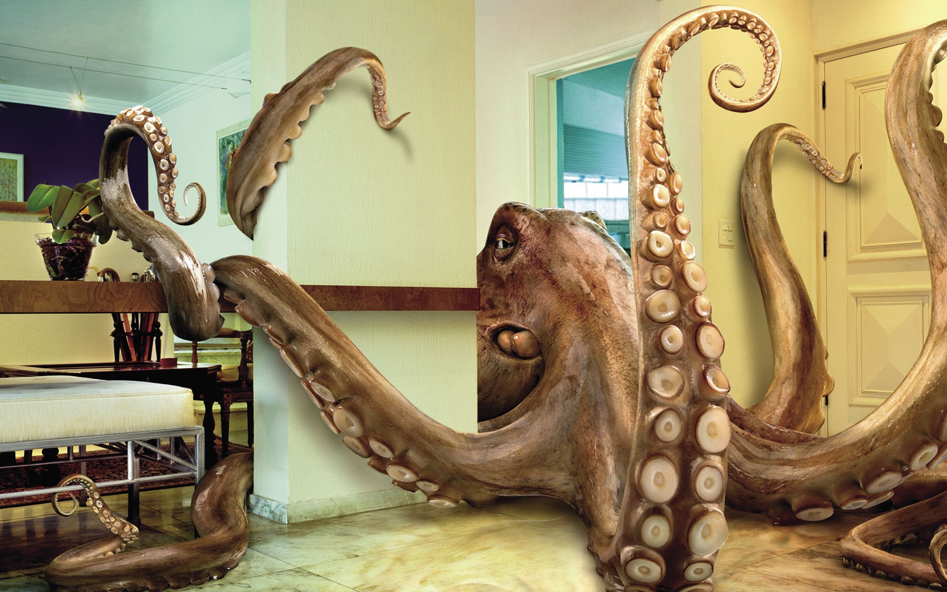 Octopus In Living Room - HD Wallpaper 
