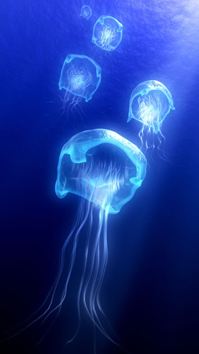 Jellyfish Iphone Wallpaper - Blue Jellyfish Wallpaper Iphone - HD Wallpaper 