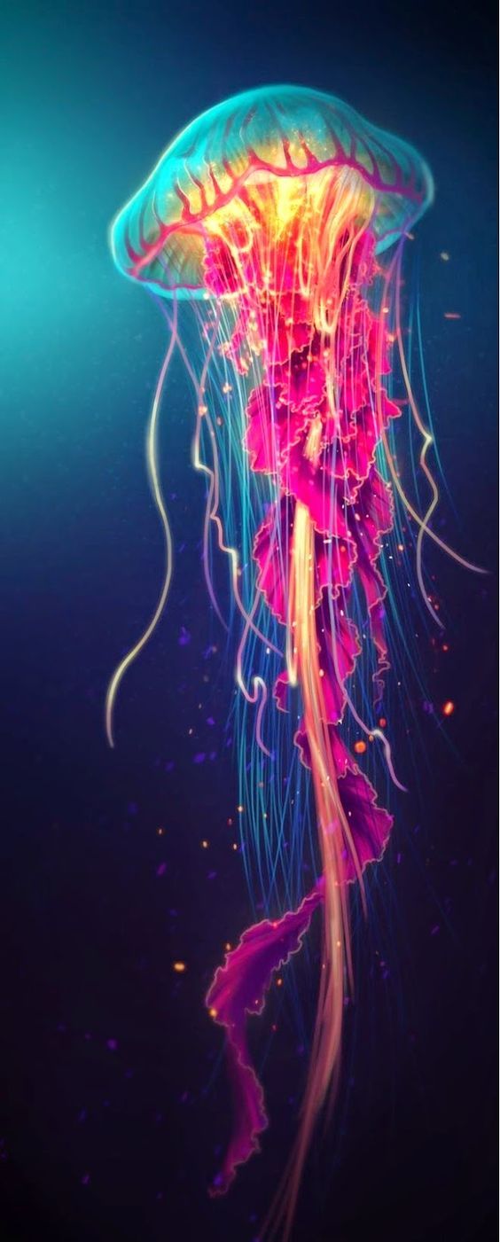Jellyfish Colorful - HD Wallpaper 