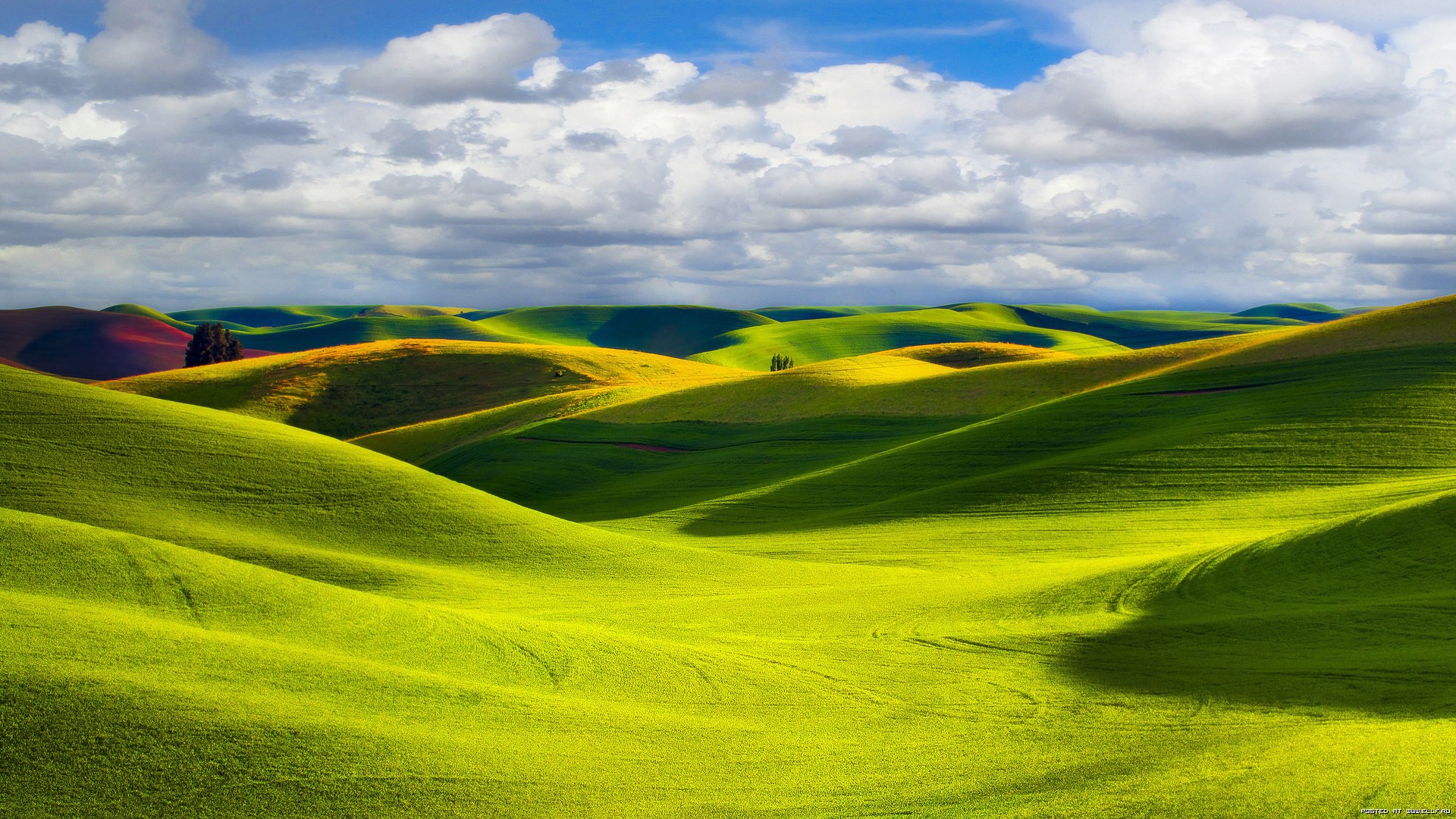Top 10 Grasslands Of The World - HD Wallpaper 