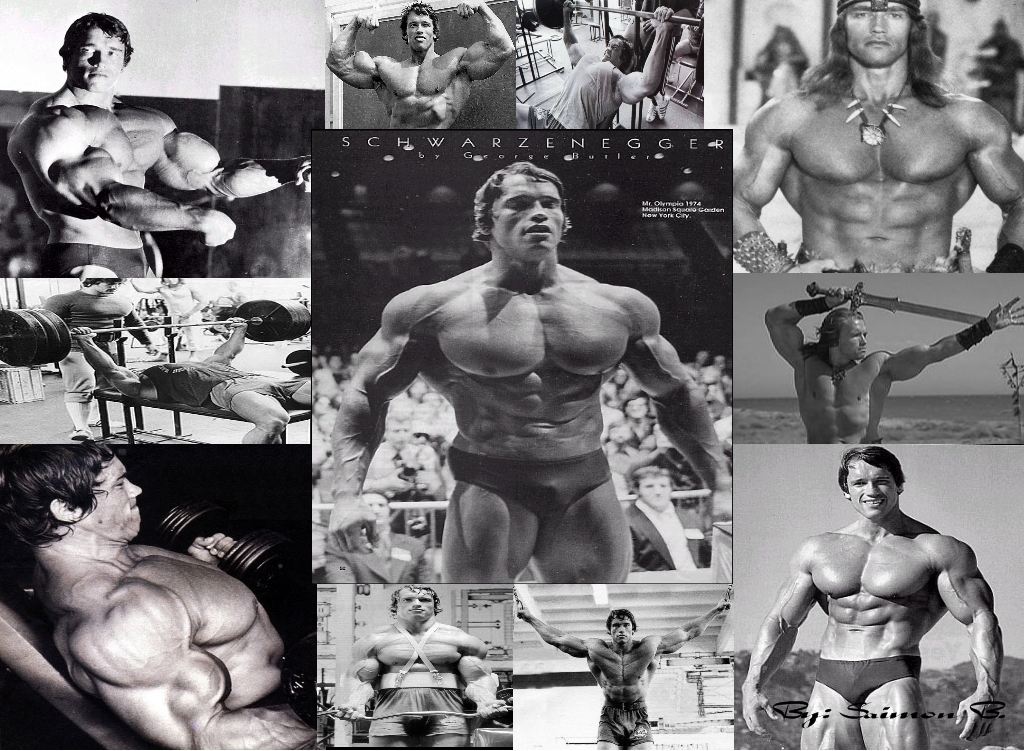Arnold Schwarenegger Wallpaper - Full Hd Arnold Schwarzenegger Bodybuilder - HD Wallpaper 