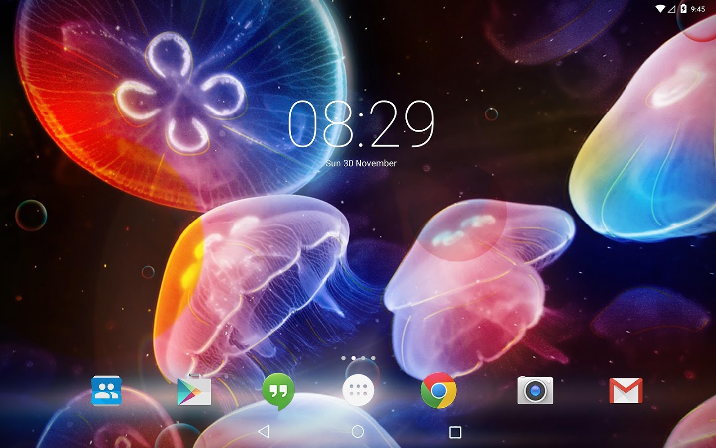 Jellyfish Medusa Live Wallpaper - Rainbow Moon Jellyfish - HD Wallpaper 