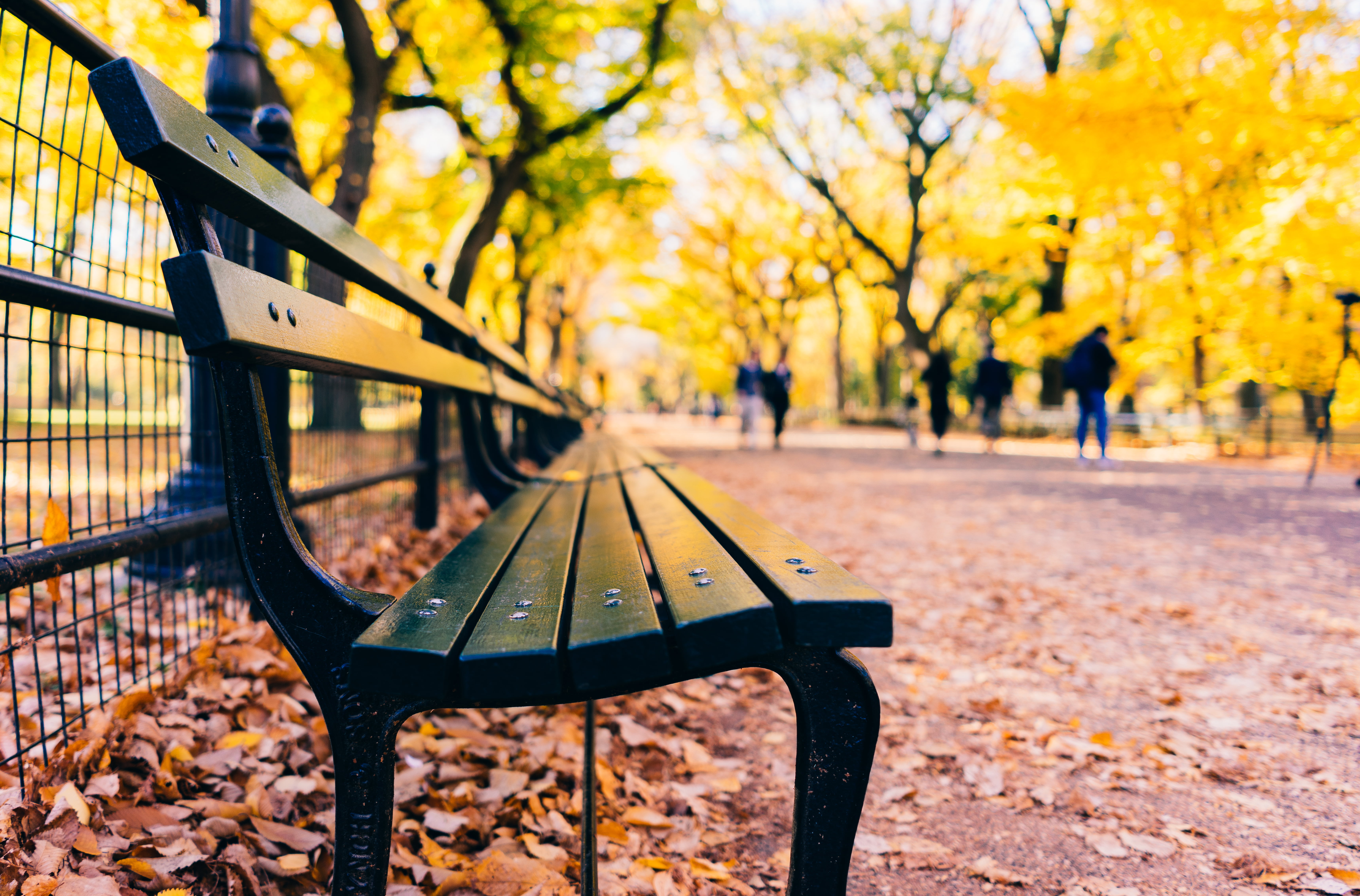 Bench In Park Hd - HD Wallpaper 
