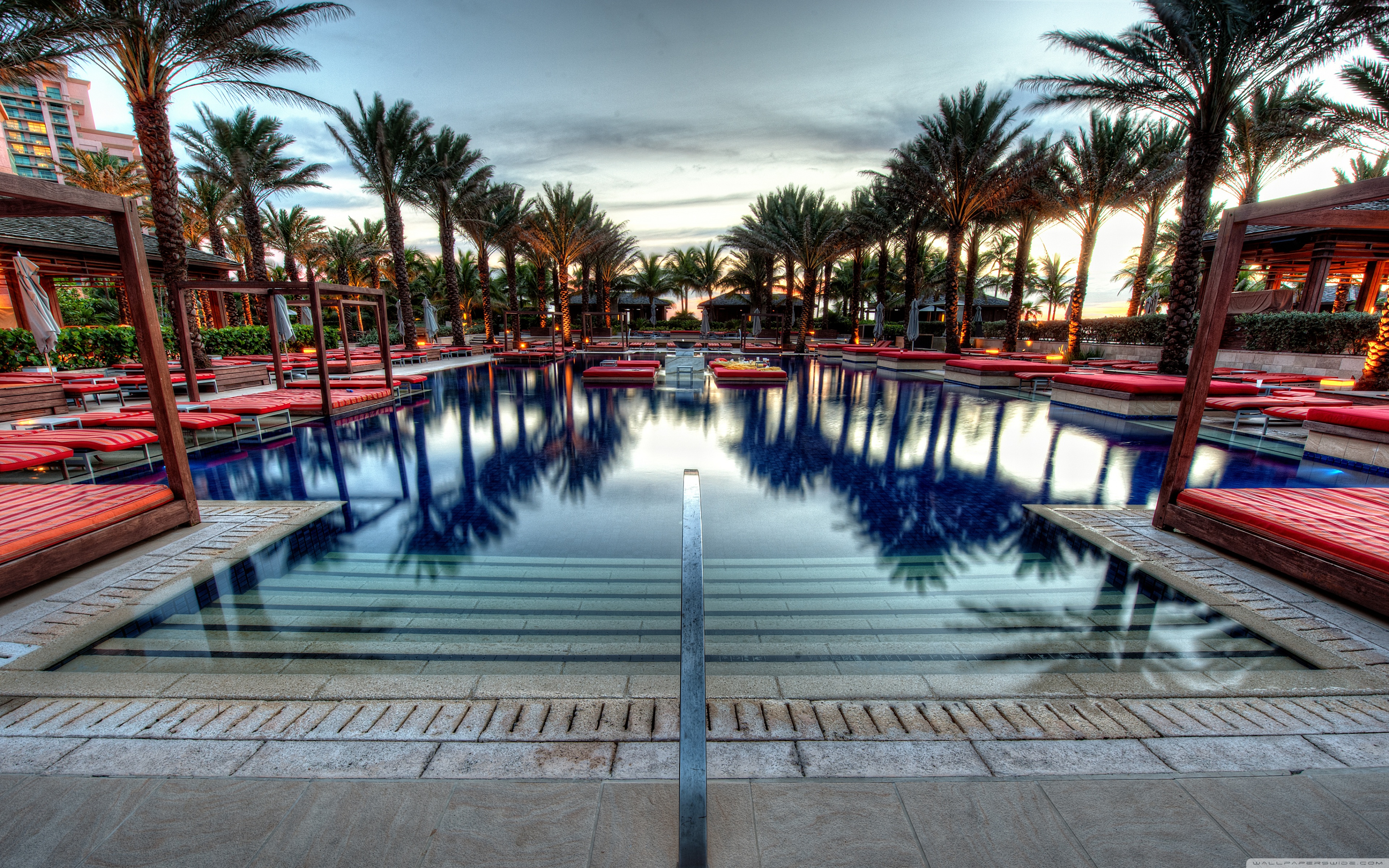 Atlantis Bahamas Palm Trees - HD Wallpaper 