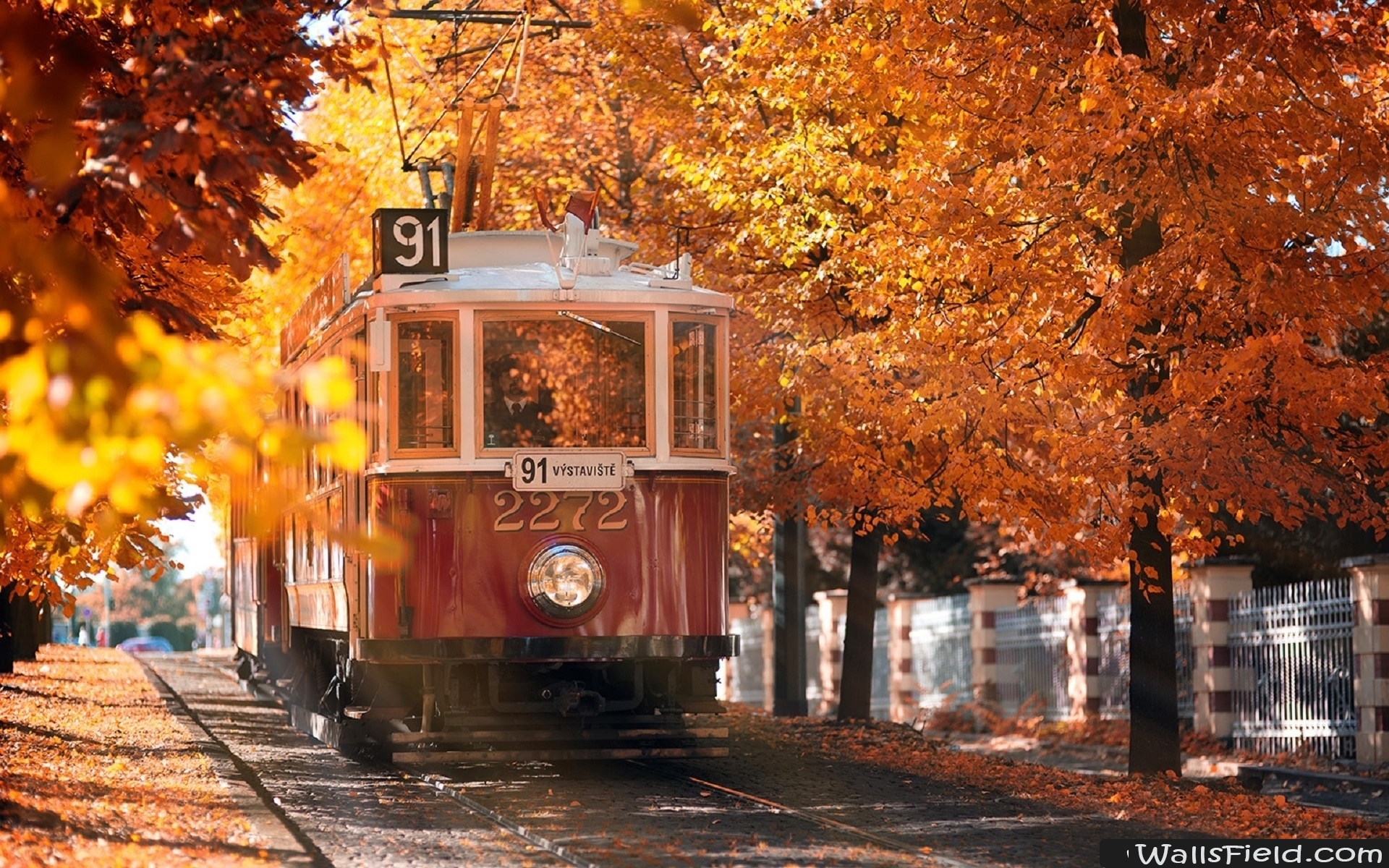 Autumn Wallpaper Prague - HD Wallpaper 