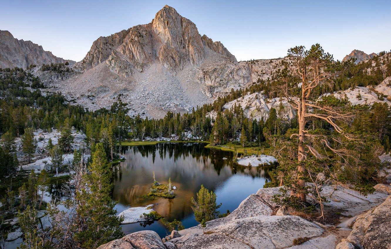 Photo Wallpaper Trees, Mountains, Lake, Ca, Top, Pine, - Reflection - HD Wallpaper 