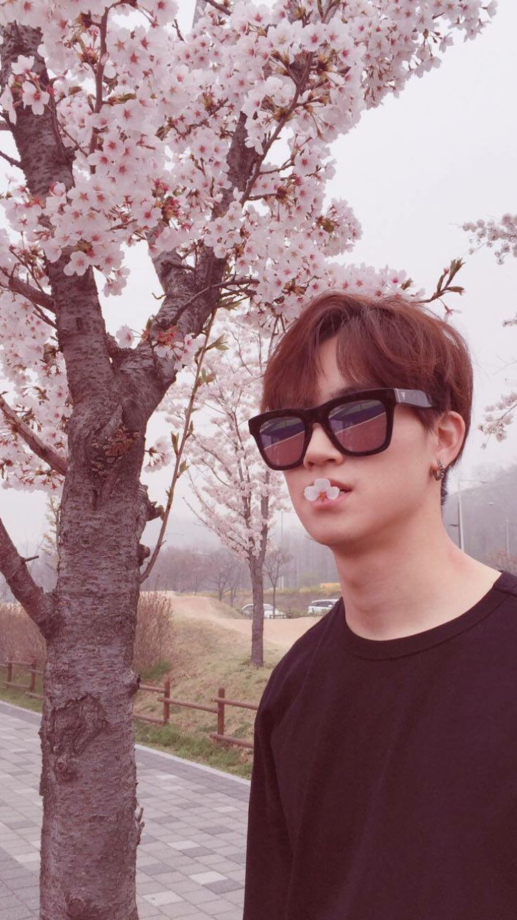 Got7 Jb Cherry Blossom - HD Wallpaper 