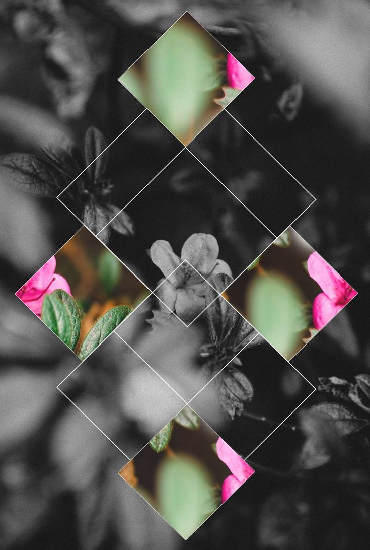 Geometric Nature Phone Backgrounds - 735x1092 Wallpaper Geometric Nature Phone Backgrounds - 735x1092 Wallpaper