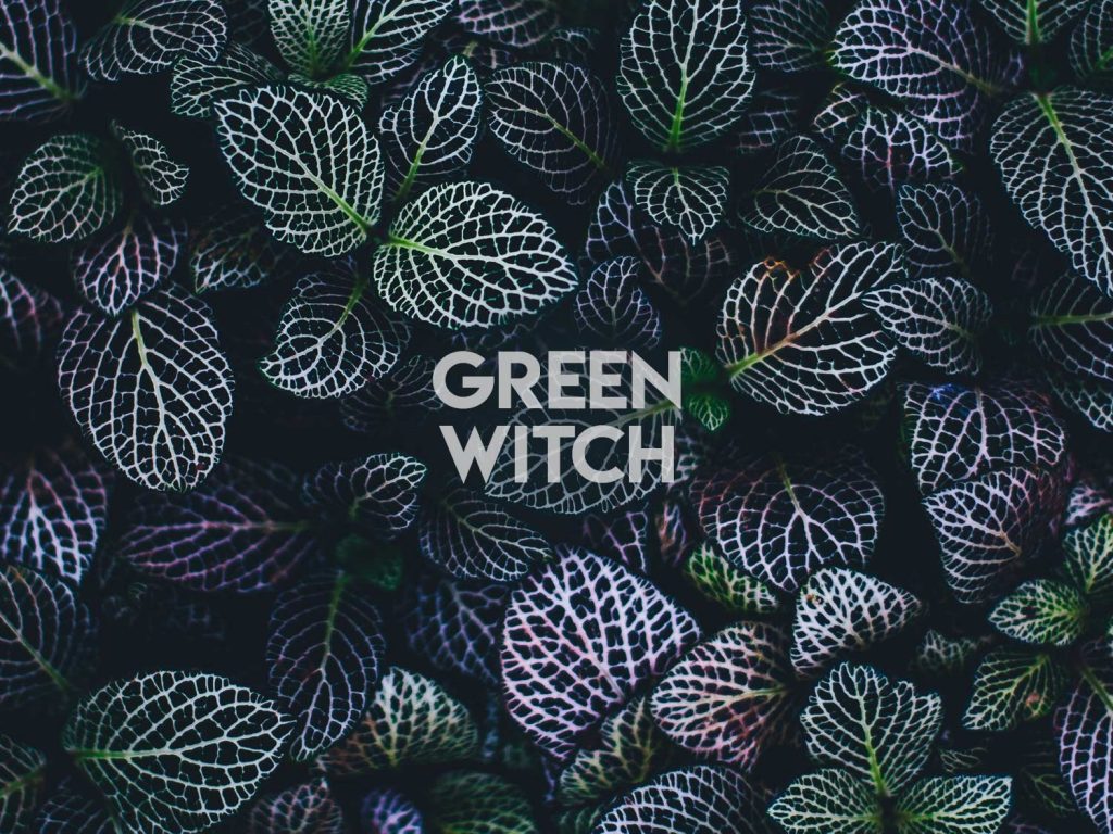 Green Witch Wicca Wallpaper - Plants Wallpaper Iphone - HD Wallpaper 