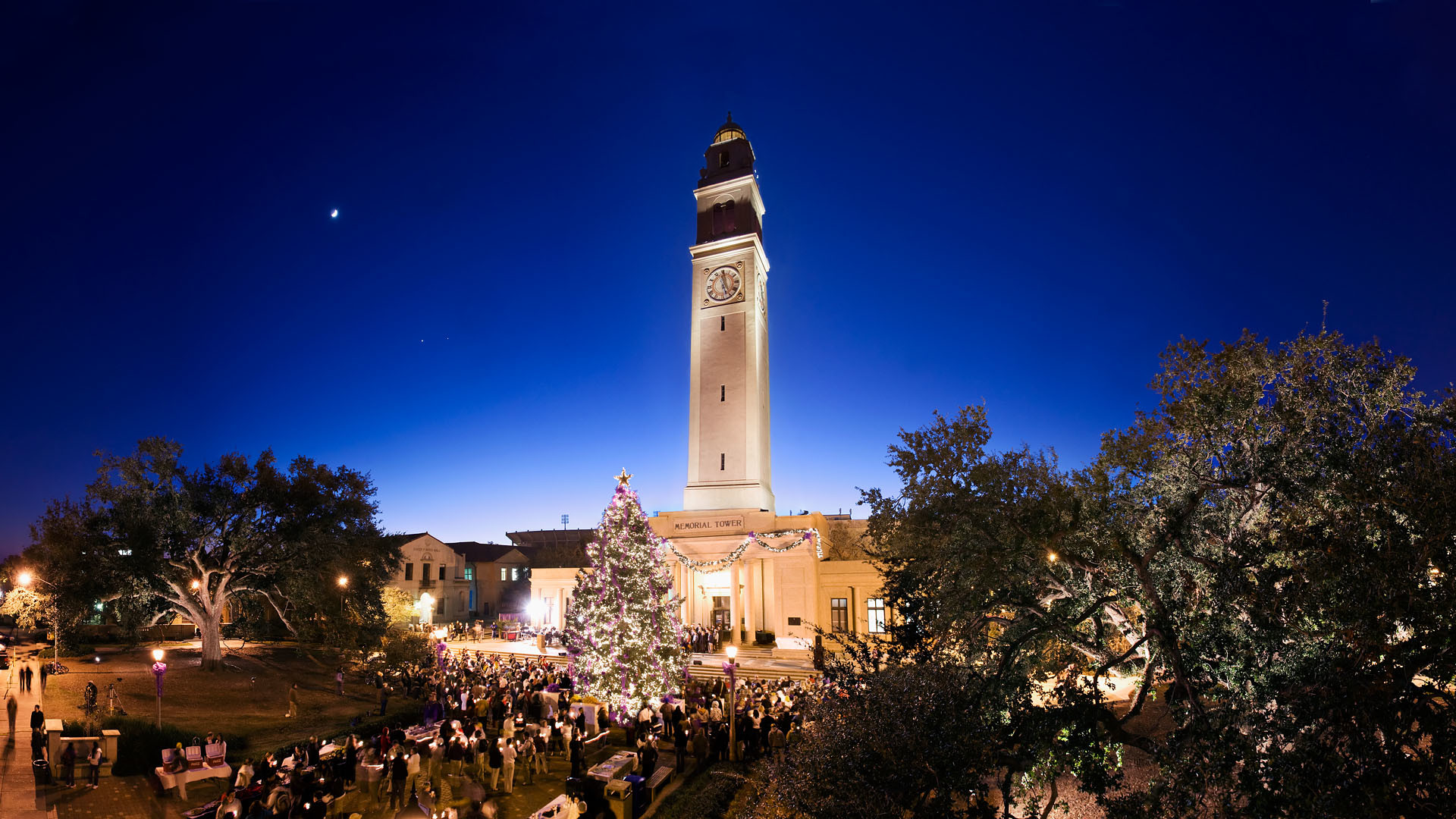 Lsu Wallpaper 
 Data-src /w/full/5/5/a/77352 - Lsu - HD Wallpaper 