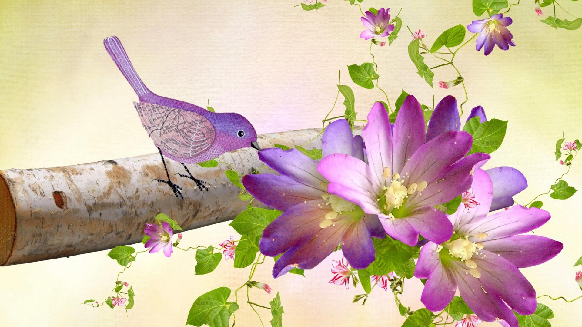 Bird And Flower Wallpaper Hd - HD Wallpaper 