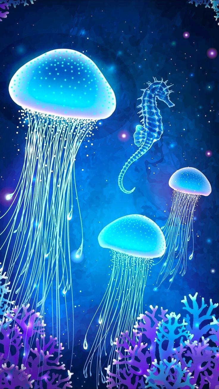 Jellyfish Wallpaper-zv91uv1 - Pretty Jellyfish Background - HD Wallpaper 