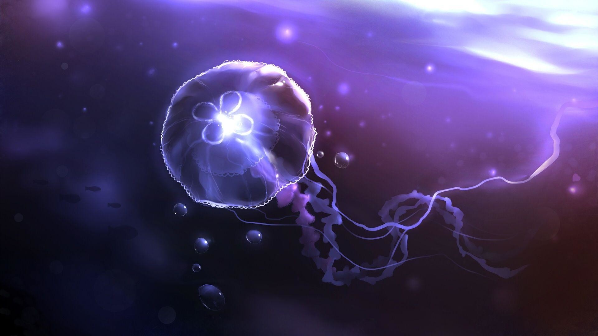Beautiful Glowing Jellyfish - Jellyfish Wallpaper Hd - HD Wallpaper 