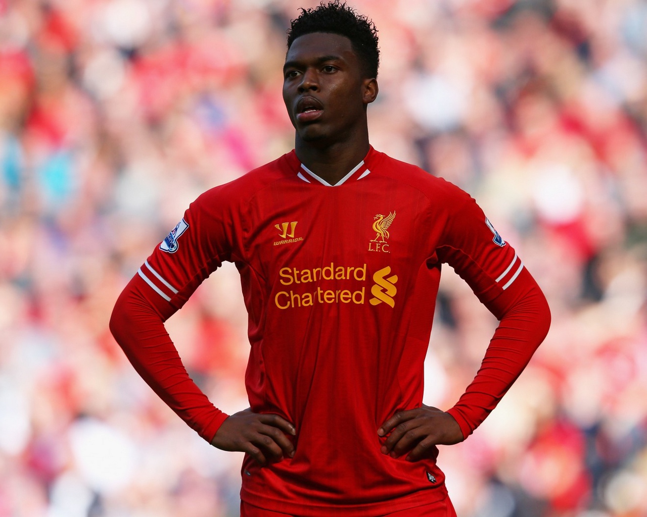 Wallpaper Liverpool Fc, Liverpool, Lfc, Ynwa, England, - Sturridge - HD Wallpaper 
