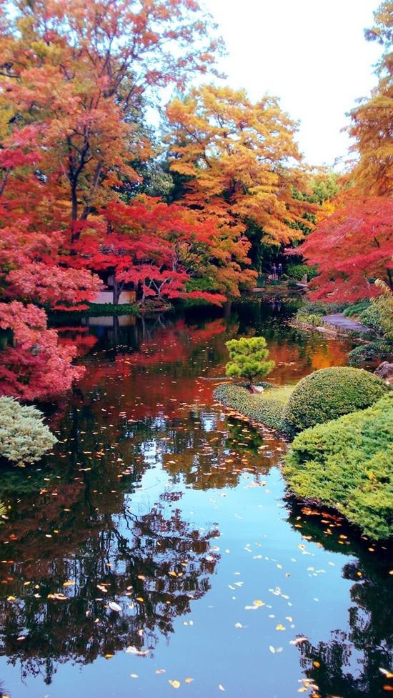 Beautiful Japanese Garden Landscape - HD Wallpaper 