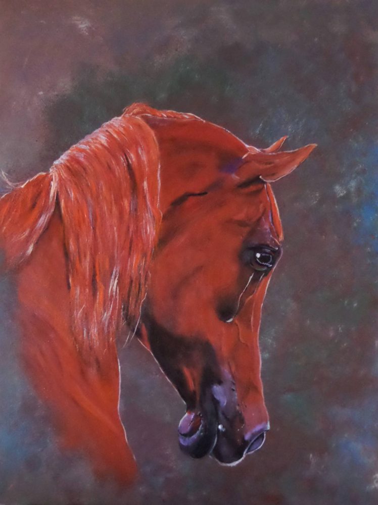 Sorrel - HD Wallpaper 