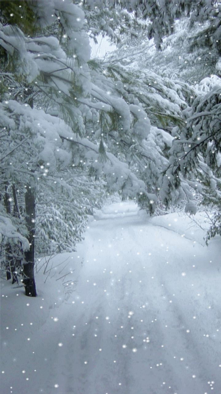 Live Wallpaper Snow - HD Wallpaper 