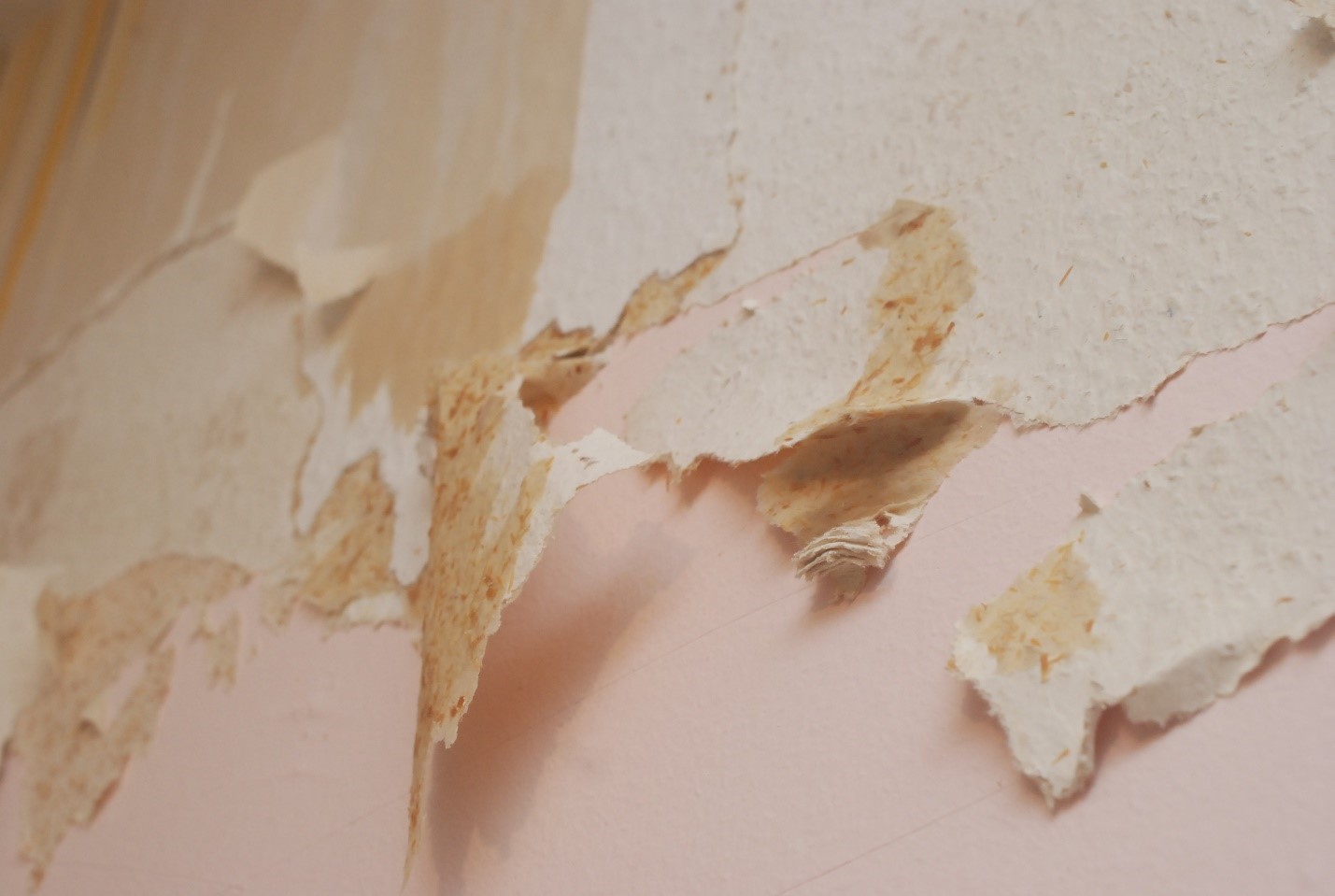 Tapete Abkratzen - HD Wallpaper 