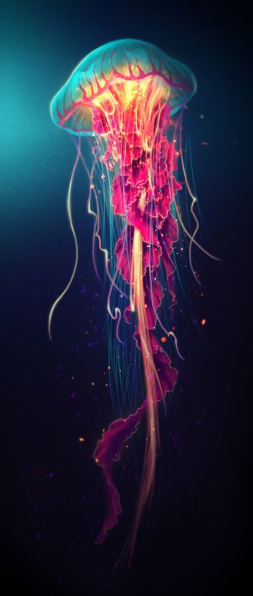 Jellyfish Art - HD Wallpaper 