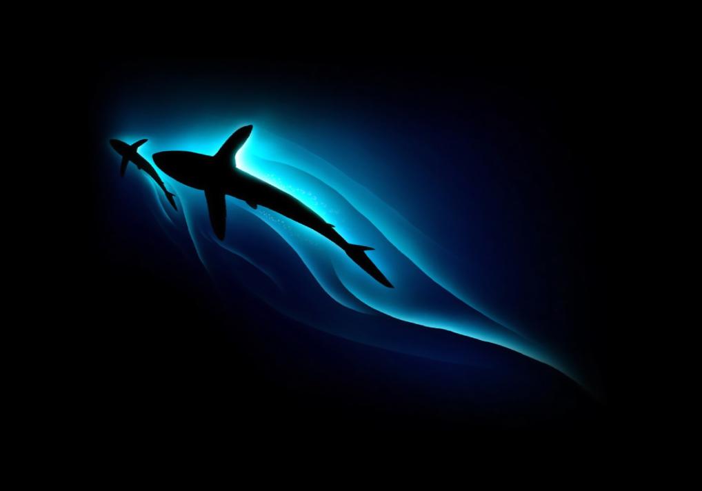 Moving Wallpapers For Windows 7 - Cool Shark Background - HD Wallpaper 