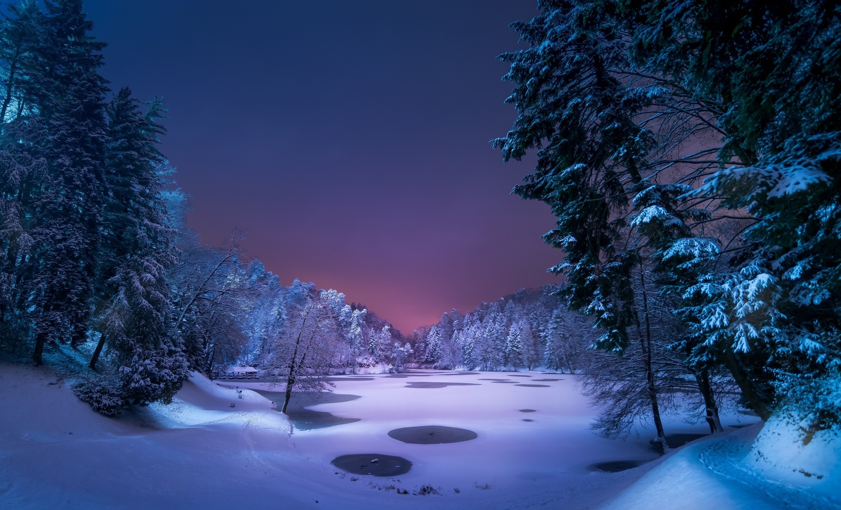Night, Landscape, Snow, Ice, Winter, Trees, Nature - HD Wallpaper 