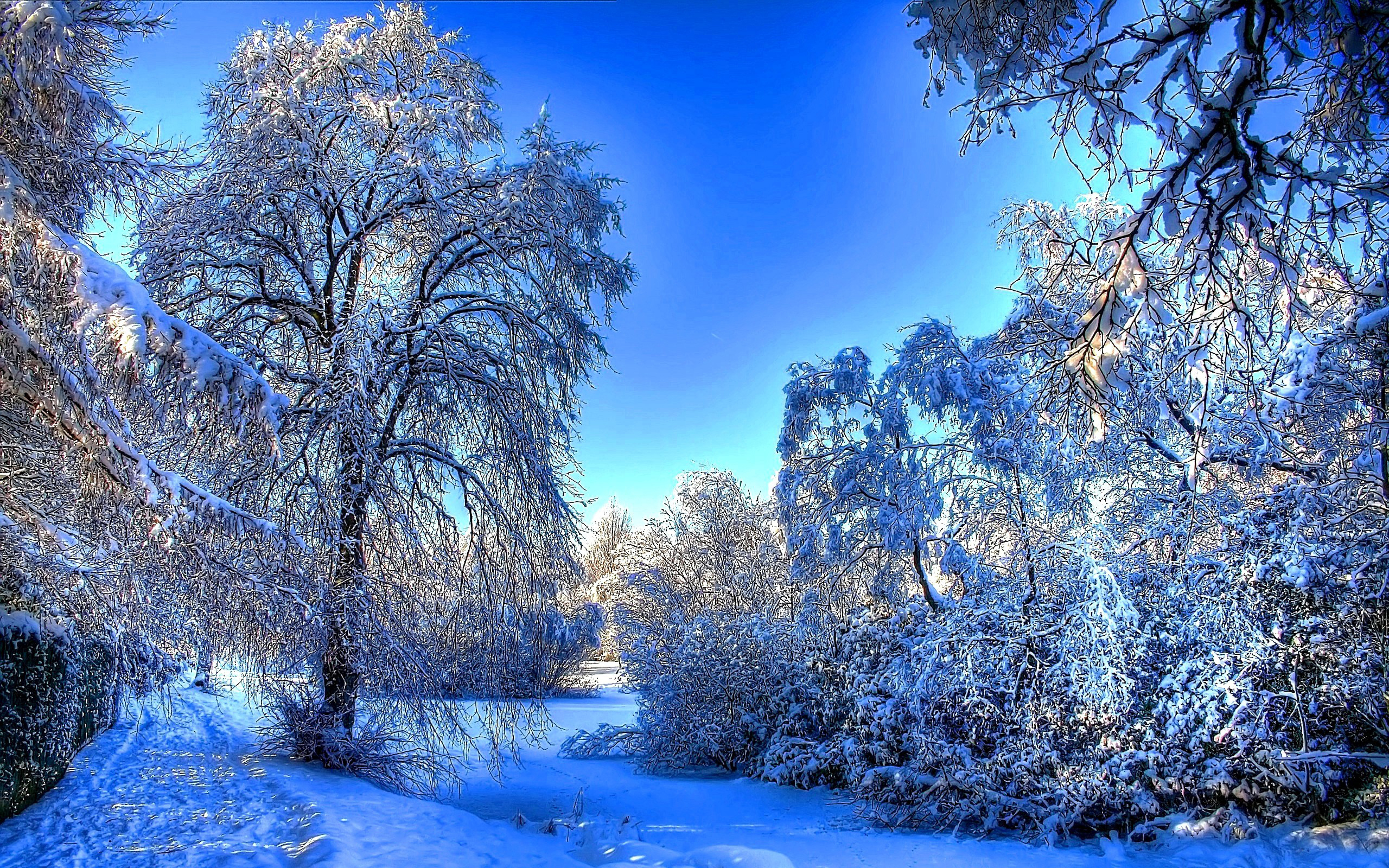 Beautiful Winter Snow Wallpaper - HD Wallpaper 