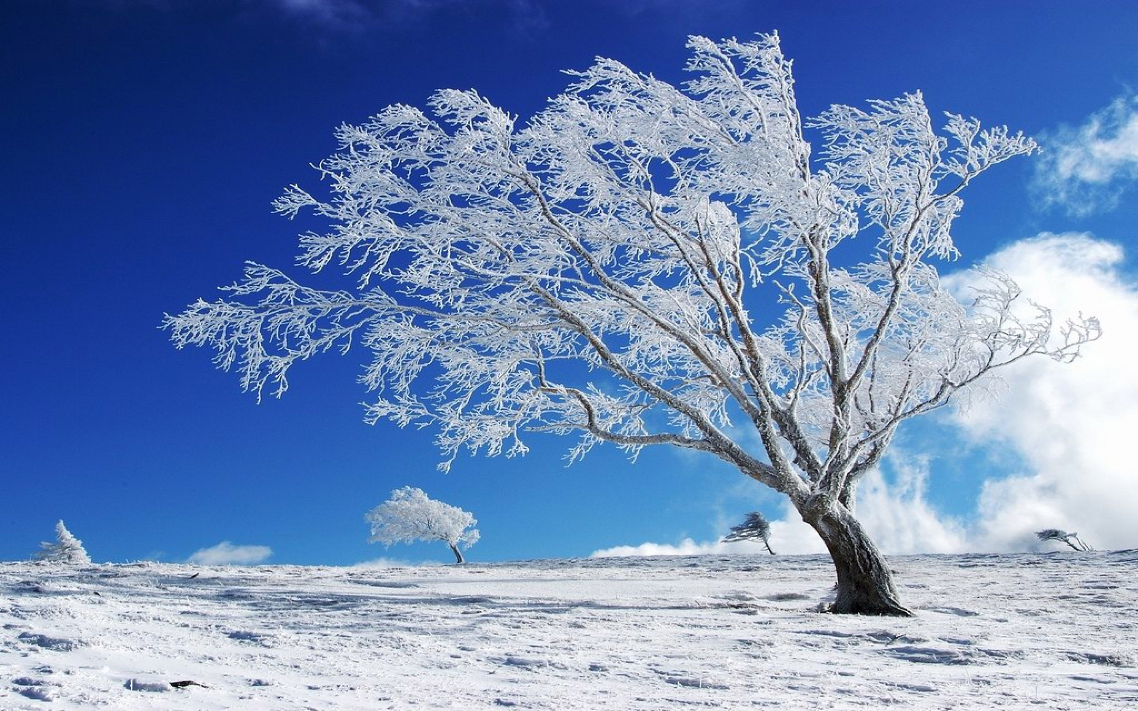 Desktop Backgrounds Winter - HD Wallpaper 